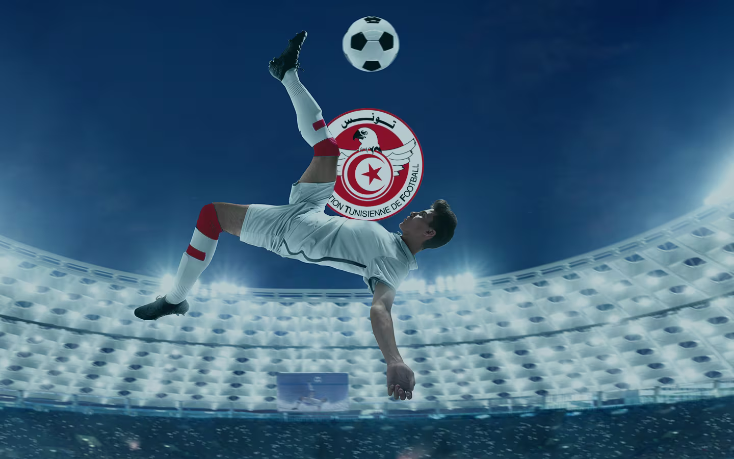Odds da Tunísia na Copa do Mundo de 2022: Como apostar na seleção tunisiana