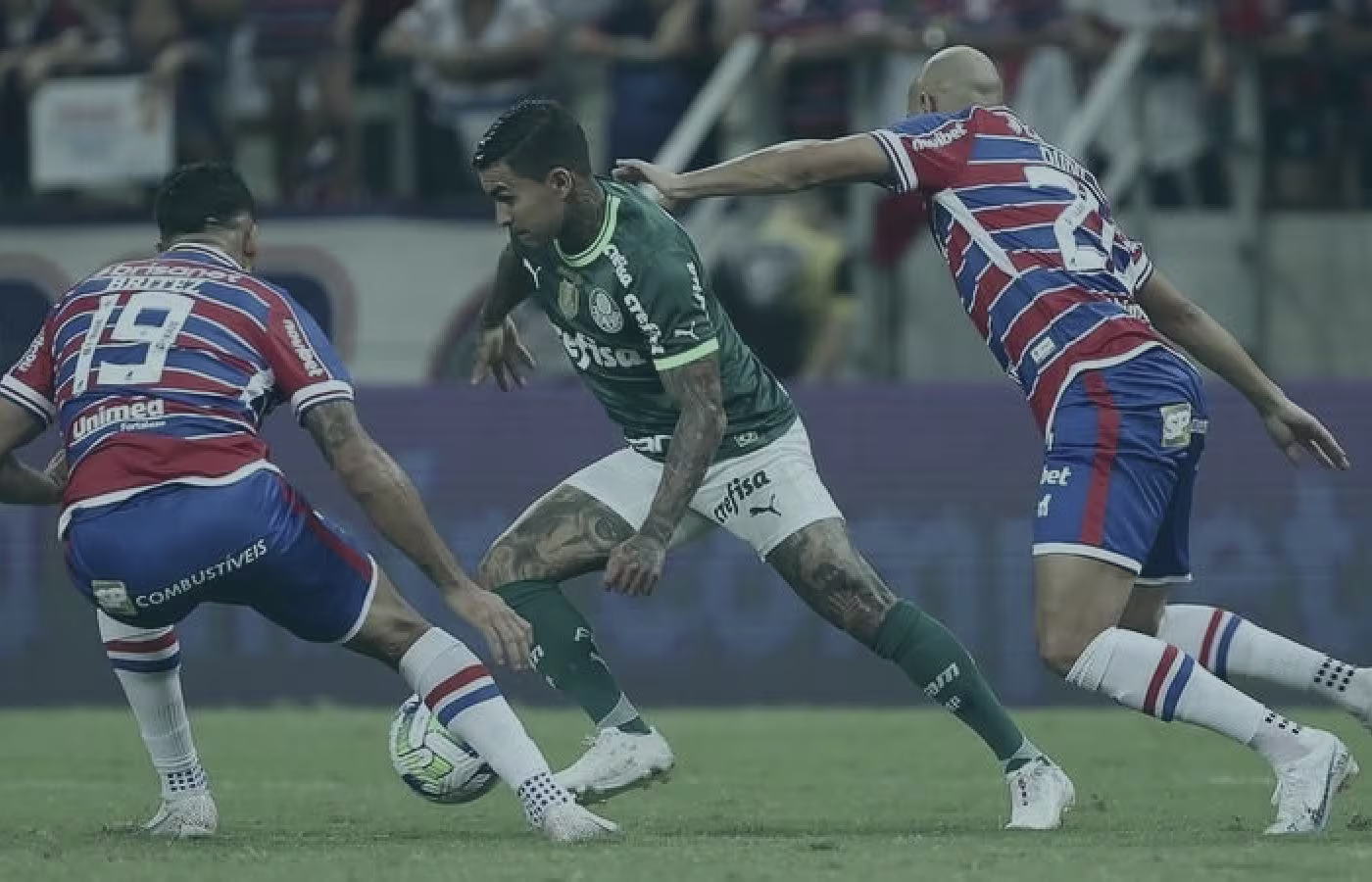Nas casas de apostas, Palmeiras é favorito contra o Fortaleza em jogo neste sábado 