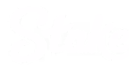 Stake logo dark