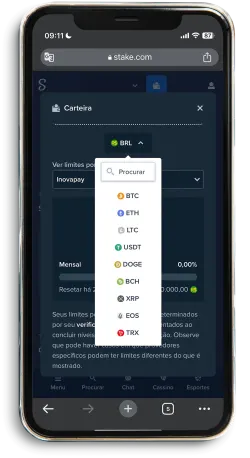 Métodos de pagamento Stake