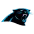 Carolina Panthers