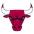 Chicago Bulls