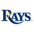 Tampa Bay Rays