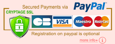 PayPal Acceptance Mark