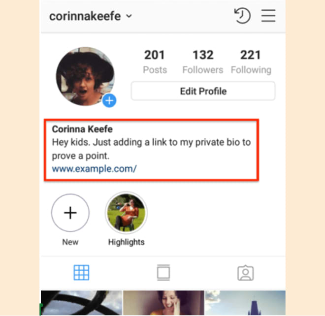  Instagram Link in Bio Example 