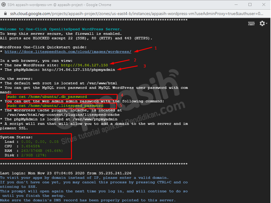 cara mendapatkan hosting wordpress gratis