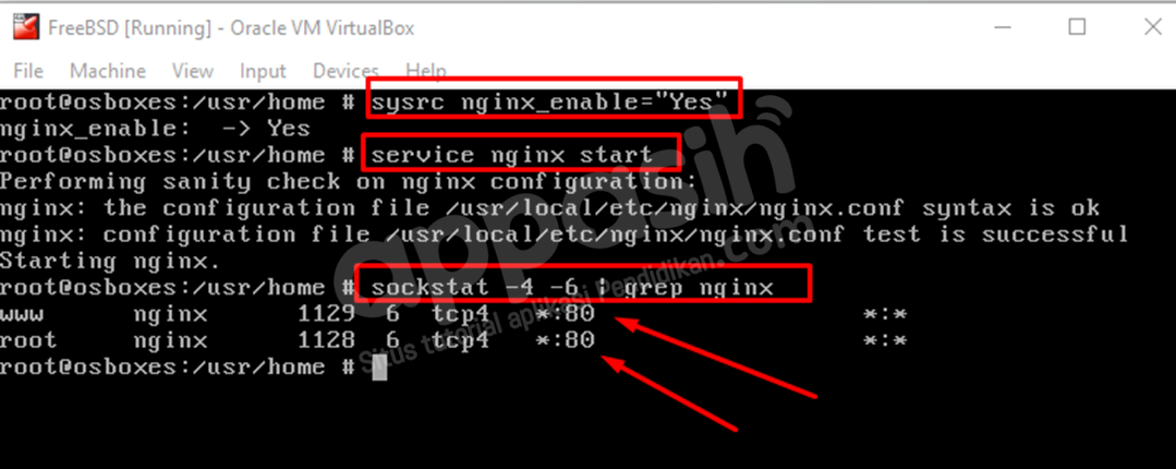 install moodle di freebsd