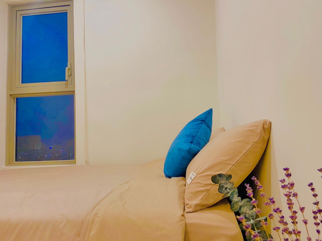 (TSC-Premium) Căn hộ Vũng Tàu The Sóng tiện ích 5* ngay Bãi Sau - Ảnh 10