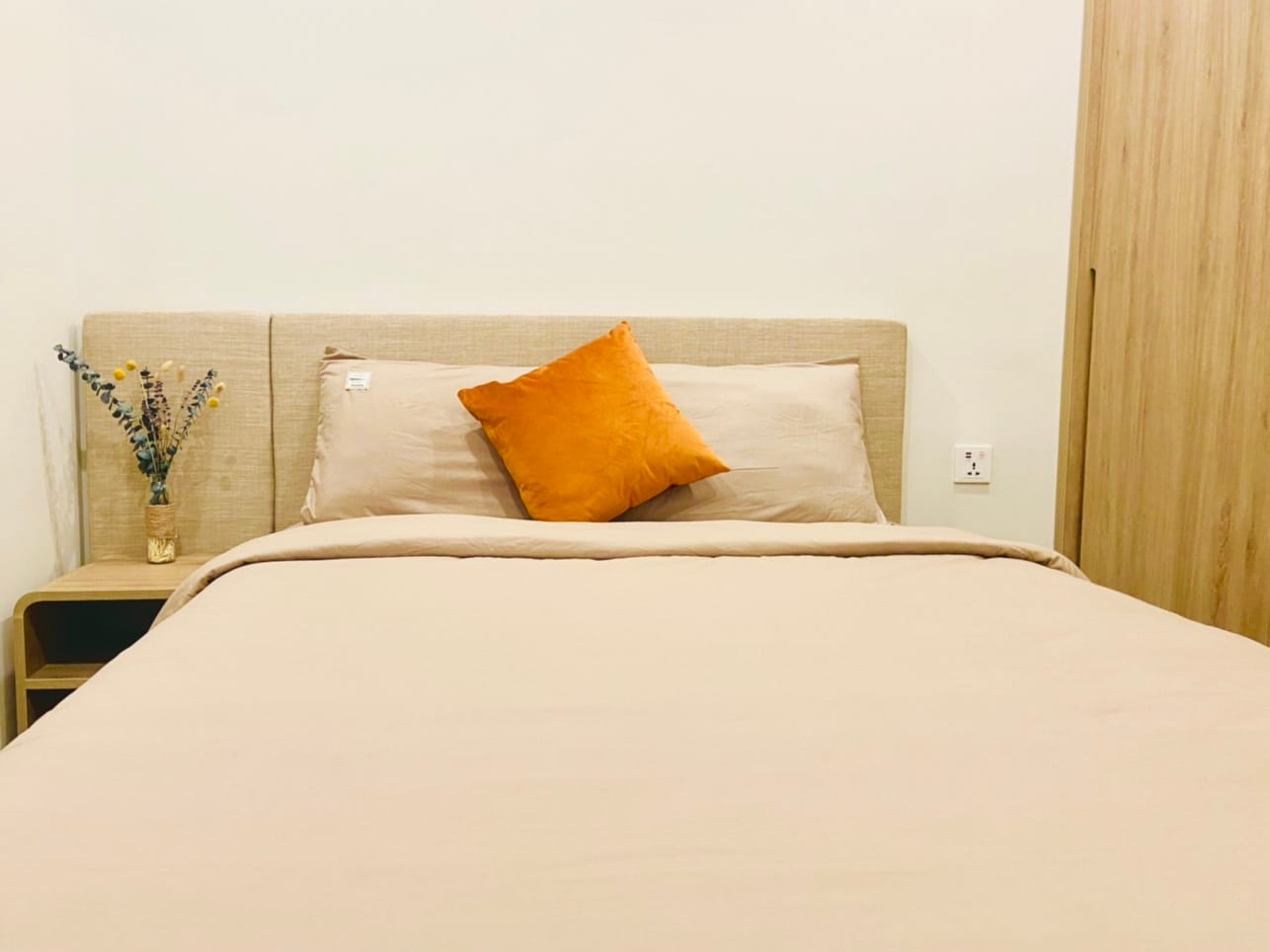 (TSC-Luxury) Căn hộ Vũng Tàu The Sóng tiện ích 5* ngay Bãi Sau - Ảnh 2