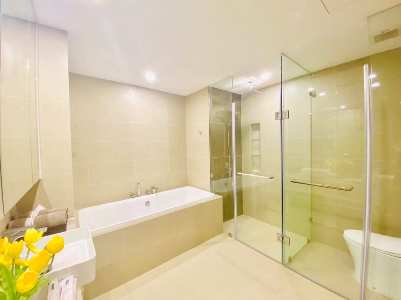 (TSC-President) Căn hộ Vũng Tàu The Sóng tiện ích 5* ngay Bãi Sau - Ảnh 14