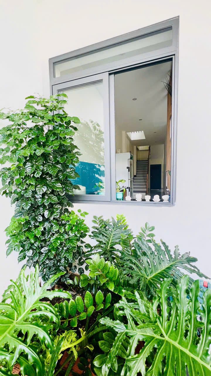 (Autumn’s House) Nhà phố nguyên căn 3 PN khu vực Bãi Sau Vũng Tàu - Ảnh 23