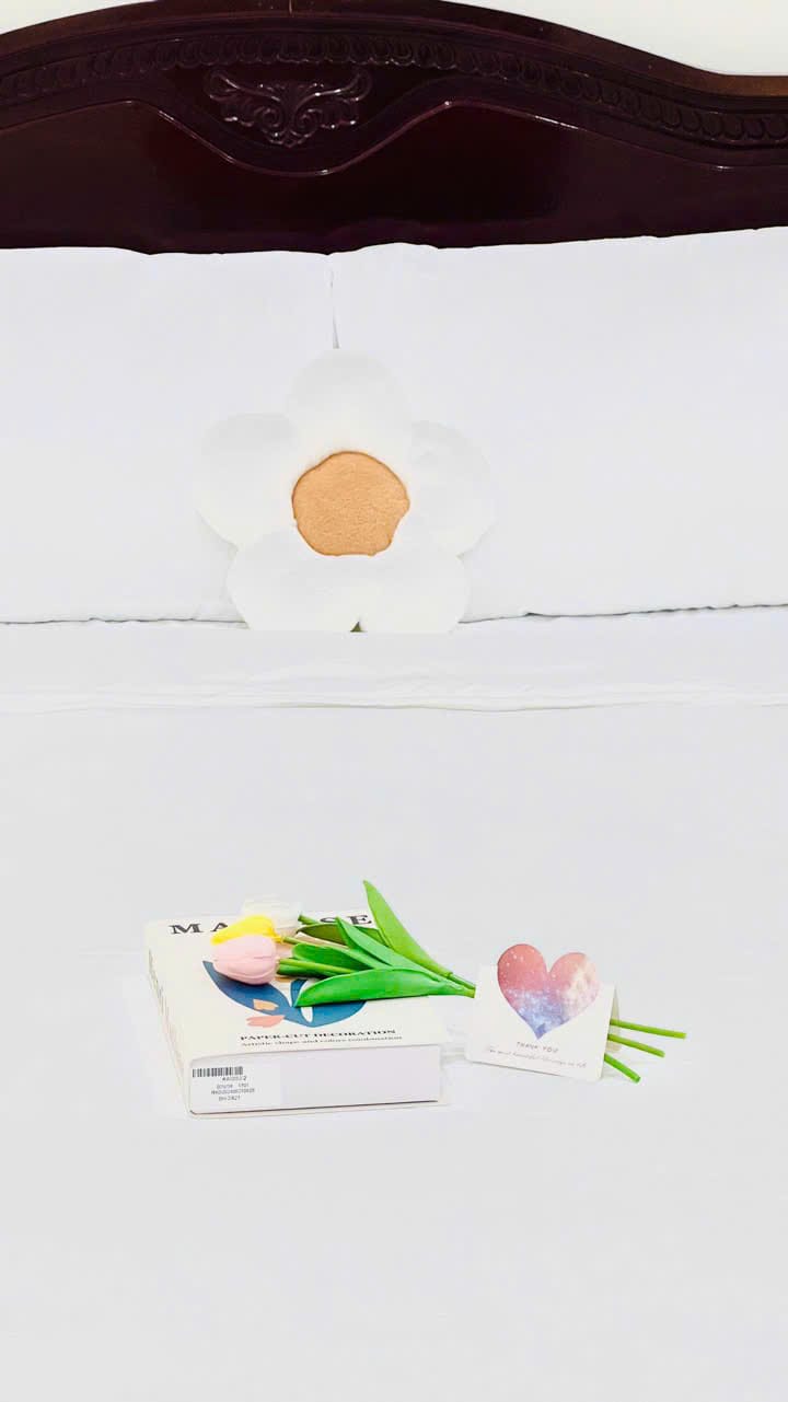 (Autumn’s House) Nhà phố nguyên căn 3 PN khu vực Bãi Sau Vũng Tàu - Ảnh 11