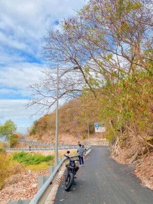 Hẻm sống ảo 444 Trần Phú