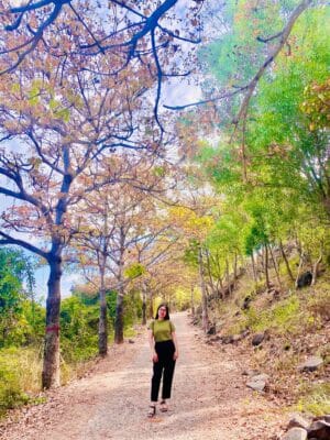 Hẻm sống ảo 444 Trần Phú