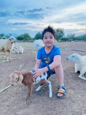 Check in Đồi Cừu Suối Nghệ đẹp từng centimet