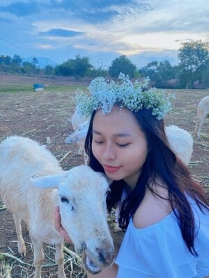 Check in Đồi Cừu Suối Nghệ đẹp từng centimet