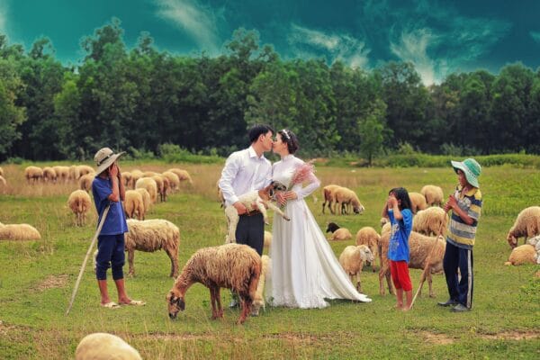 Nhiều cặp đôi chọn Đồi Cừu Suối Nghệ là nơi lưu giữ khoảnh khắc hạnh phúc