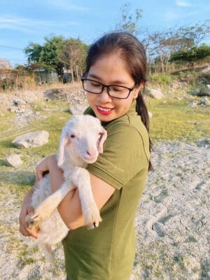  đàn cừu ở Hồ Đá Xanh dễ thương và cực kỳ thân thiện với mọi người