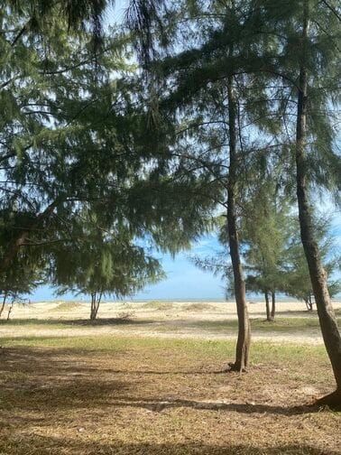 Khám phá Hồ Cốc Vũng Tàu: Bãi Biển Hoang Sơ Đẹp Mê Hồn