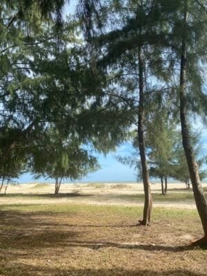 Biển ở Hồ Cốc