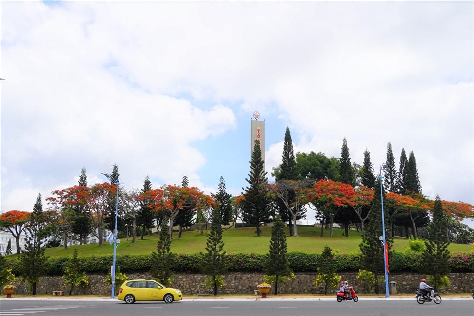 Vũng Tàu Mùa Hoa Phượng: Khám Phá Top Điểm Check-in Rực Rỡ Nhất