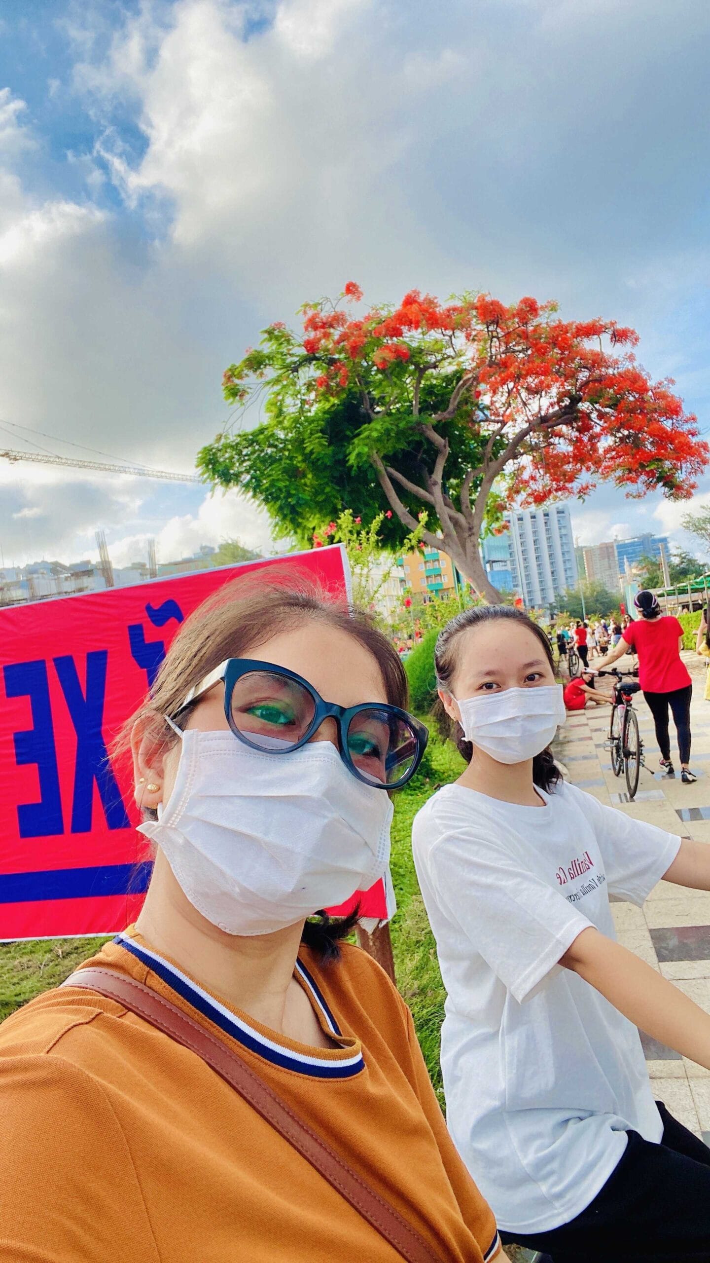 Cây hoa phượng ở Vũng Tàu đang khiến dân tình sốt rần rần