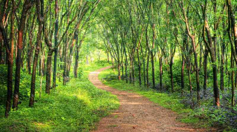 Horror Places in Goa - Igorchem Bandh
