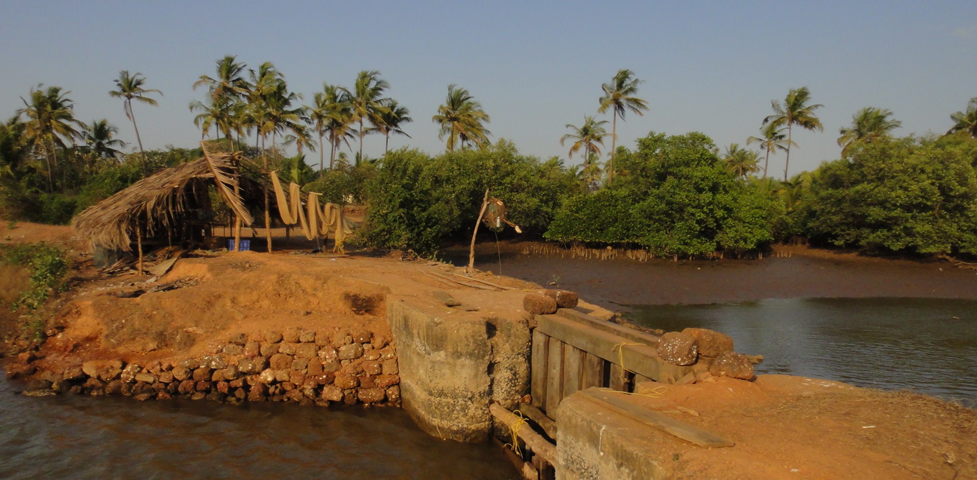 Chorao Island - Goa Island