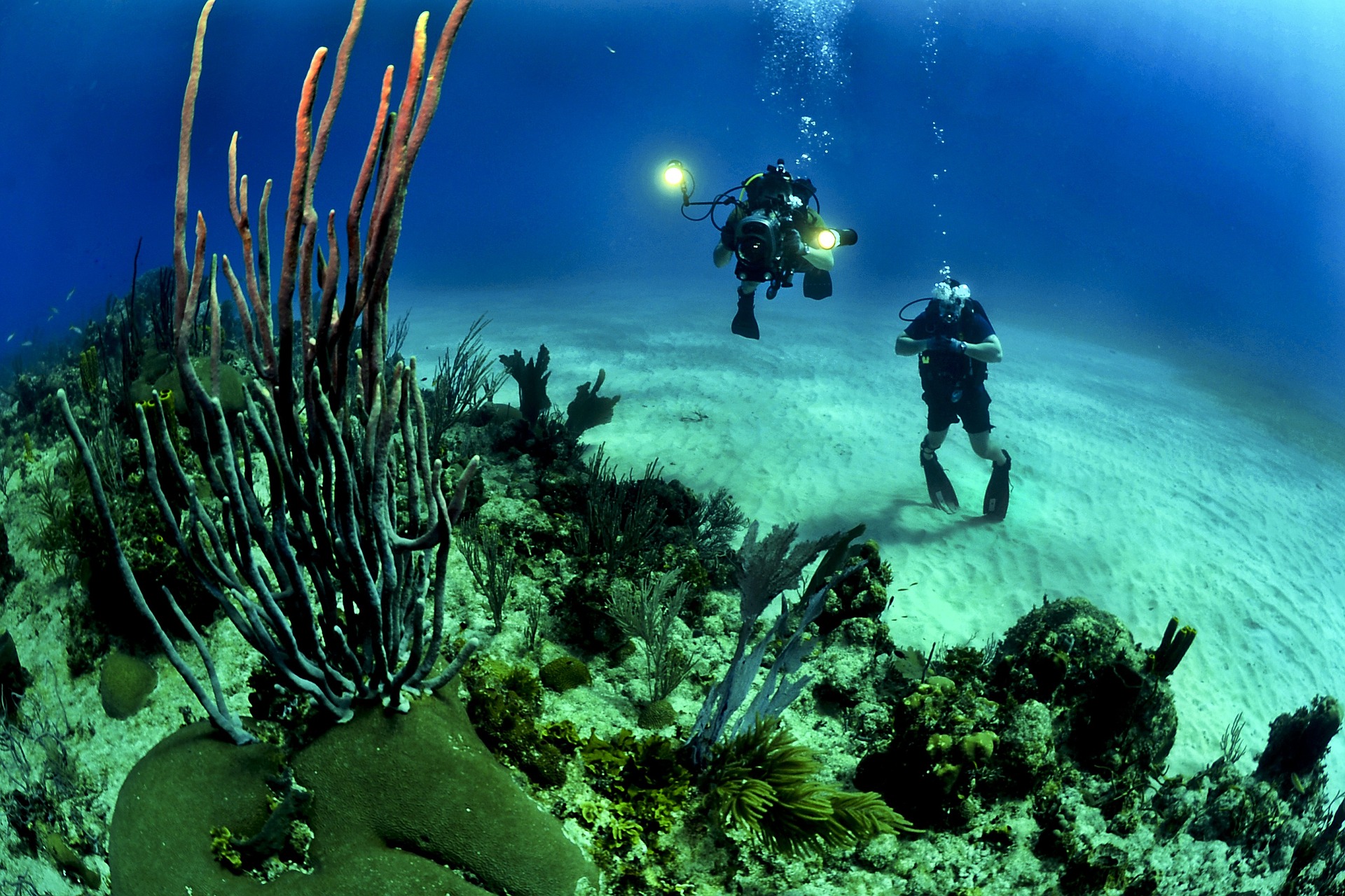 Scuba Diving in Goa - Activities in Goa