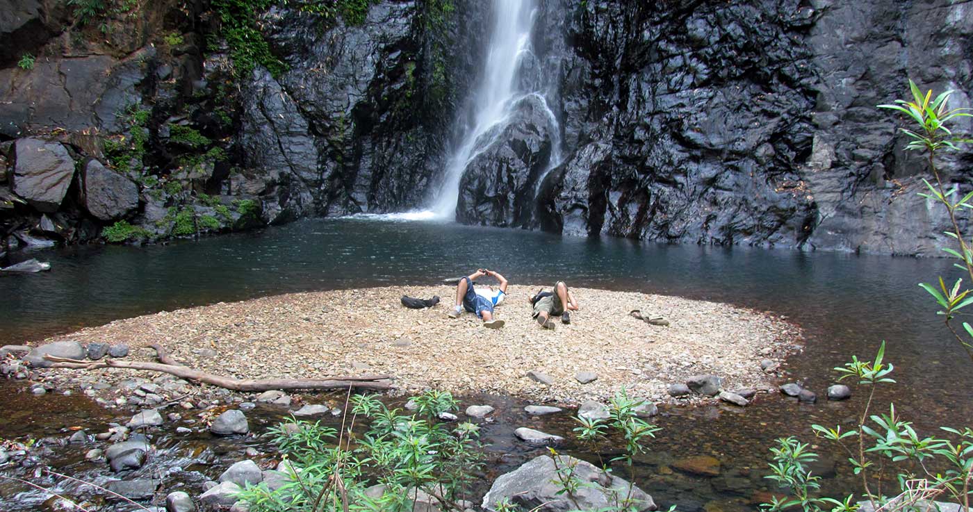The Bhagwan Mahavir Wildlife Sanctuary in Goa