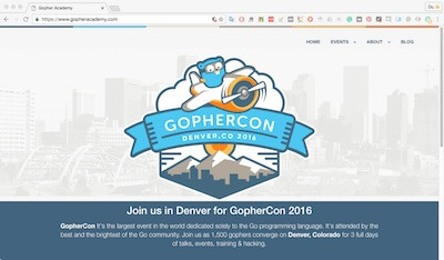 Gopher Academy