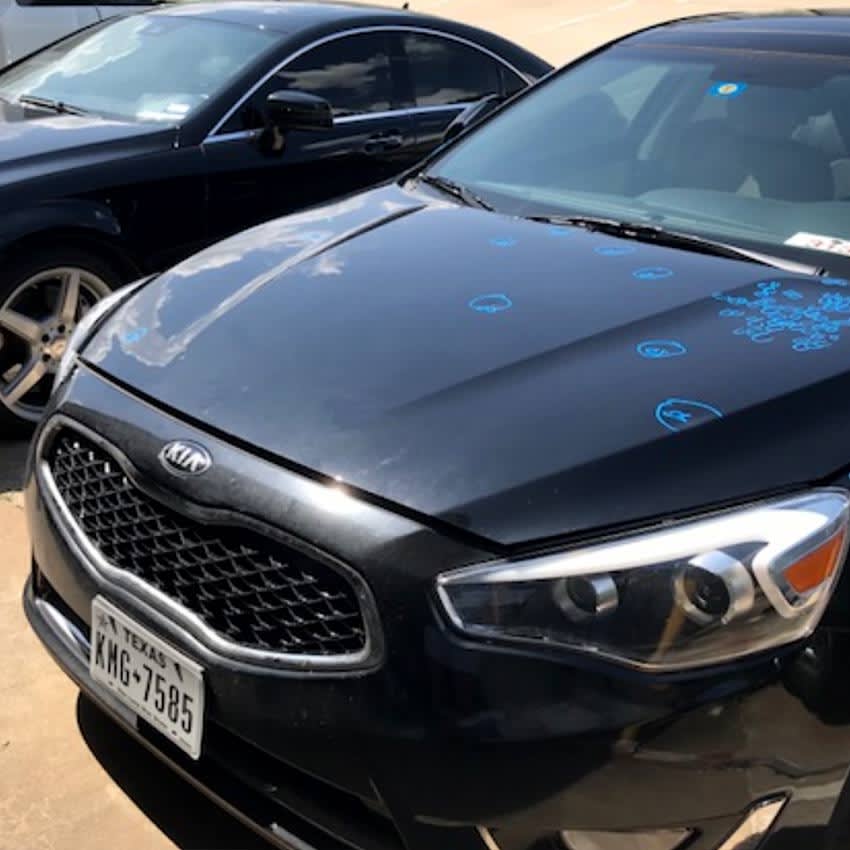 Paintless Dent Repair McKinney