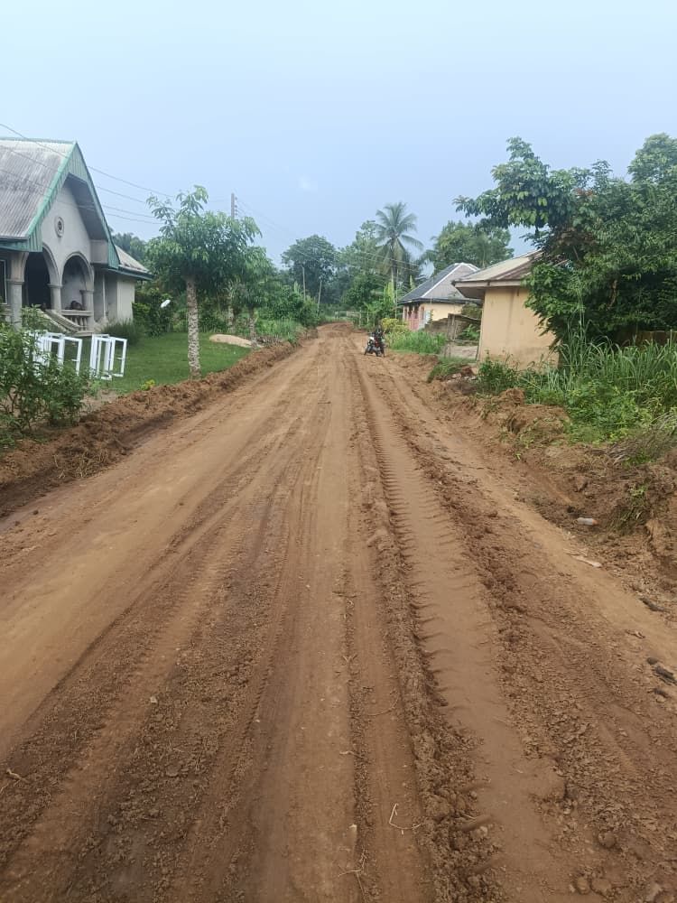 A graded road through a village