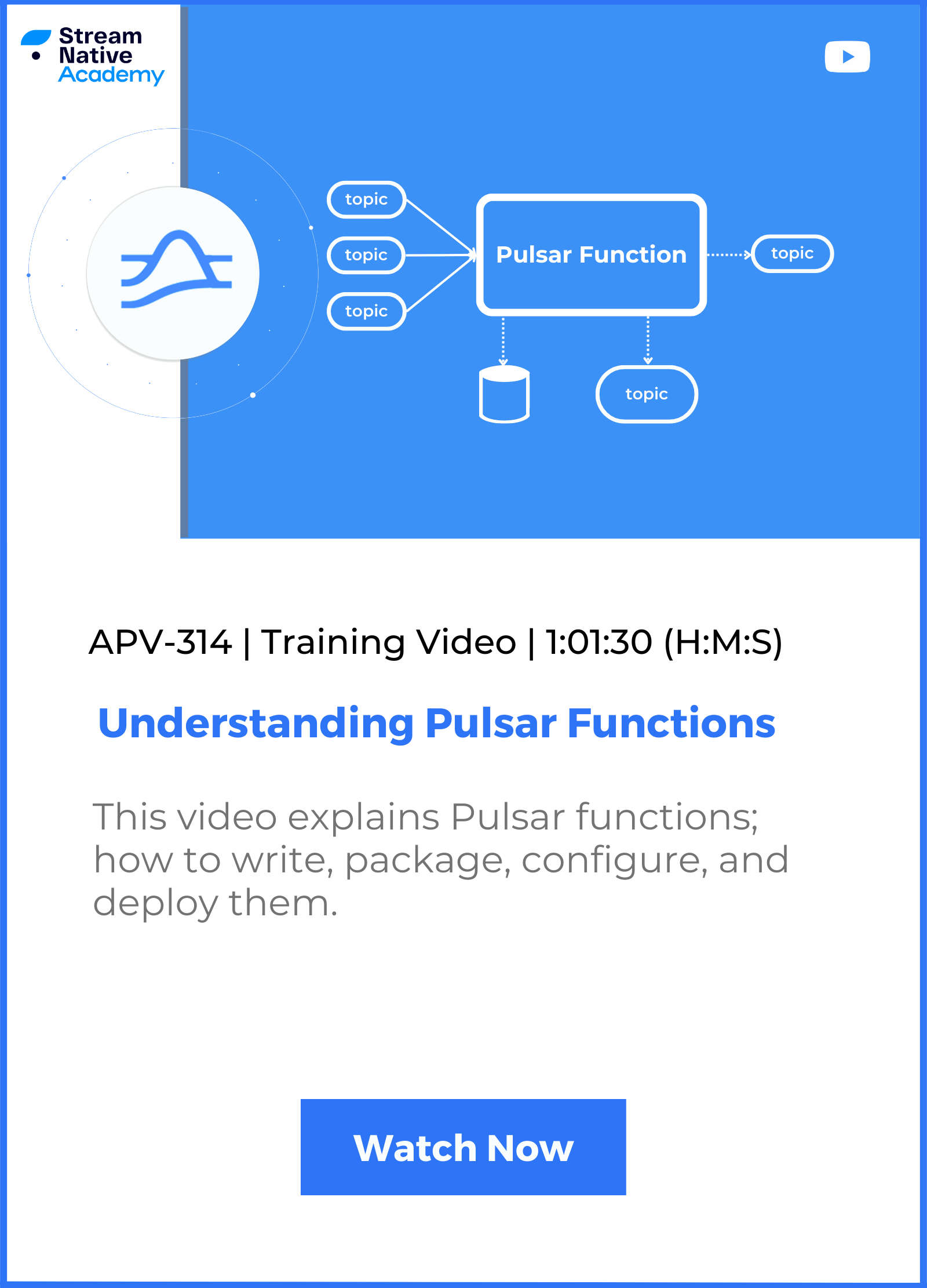 Pulsar Function