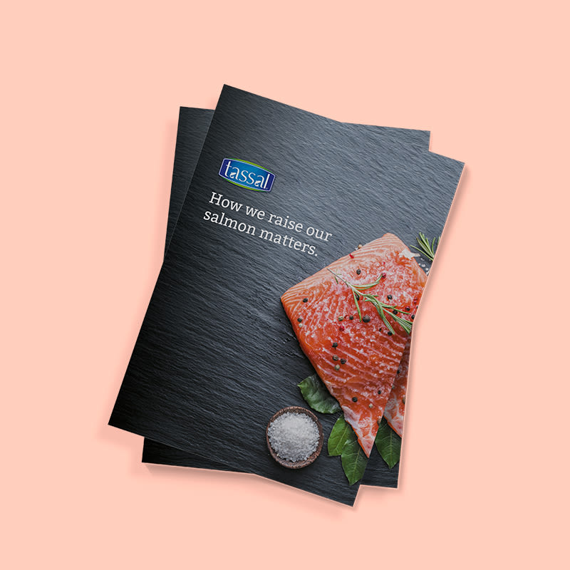 APR-TASSAL-Leaflet-3