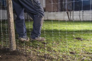 vadháló,vadkerítés,drótháló,oszlop