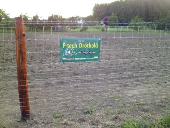 vadháló, drótfonat,kerítésdrót,oszlop