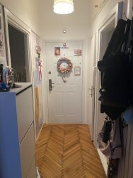 Bertalan Lajos utca 20