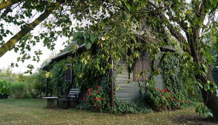 Művelési ág alól kivont zártkerti ingatlan eladó Győrben.   