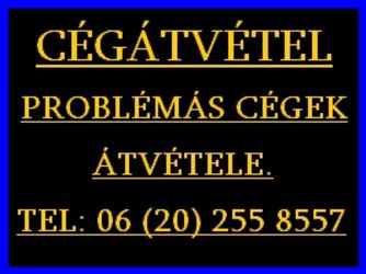 Köztartozás, házipénztár, tagikölcsön, könyvelési probléma? 