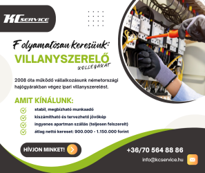 Villanyszerelő – Németország