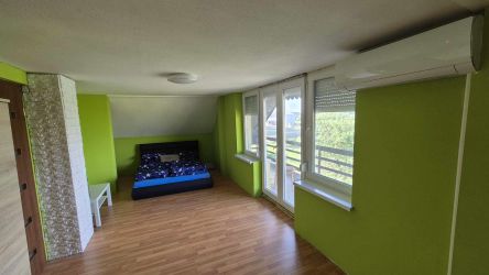 Tanya családi házzal 6314 nm területtel