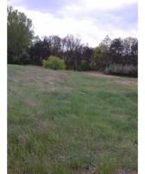 Vecsés későbbiekben ipari-kereskedelmi terület eladó