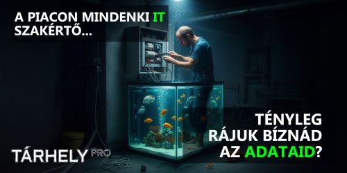 Weboldal indulás 1 nap alatt: .HU domain + AI Builder + SSL 