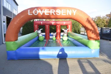 Eladó Lóverseny Pálya