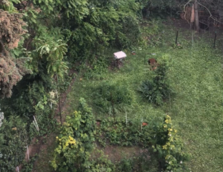 Gellérthegy lábánál Sashegyre néző, 2 erkélyes lakás kiadó