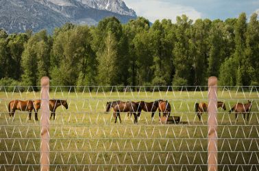 drótfonat,trapézháló,vadháló,oszlop,kerítésépítés