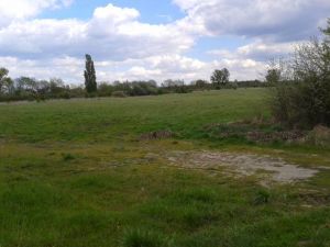 Vecsésen a Kakucsi út mellett gyep-legelő eladó