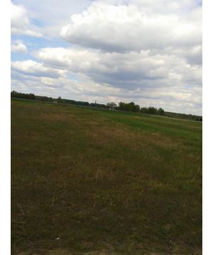 Vecsésen autópályától pár száz méterre jelenleg szántó 