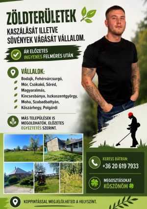 Zöldterületek vágása , sövények karbantartása , 